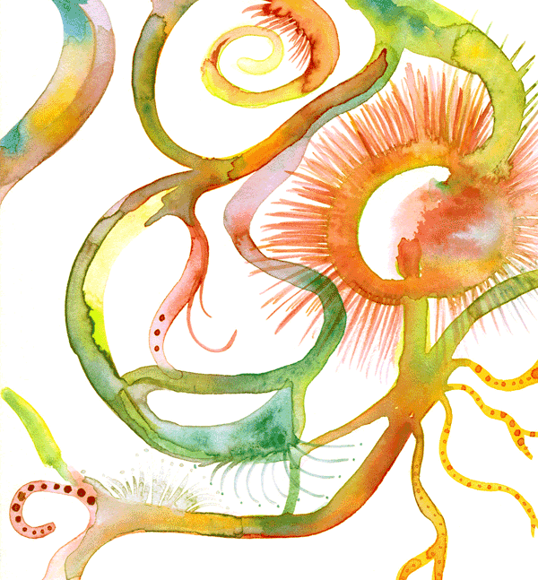 aquarell home 2